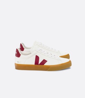 Men's Veja Campo Chromefree Leather Low-Top Sneakers White Red | PQS517MJ