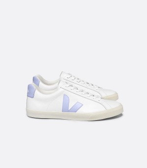 Men's Veja Esplar Leather Swan Low-Top Sneakers White Blue | BRE4649NA