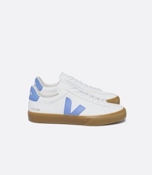 Women's Veja Campo Chromefree Leather Low-Top Sneakers White Blue | PHJ1777SM