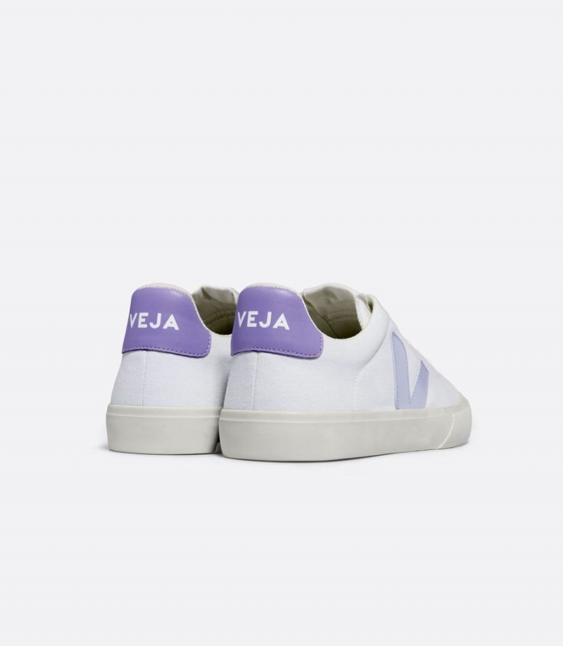 Men's Veja Campo Canvas Swan Low-Top Sneakers White Purple | DGU2178ZO