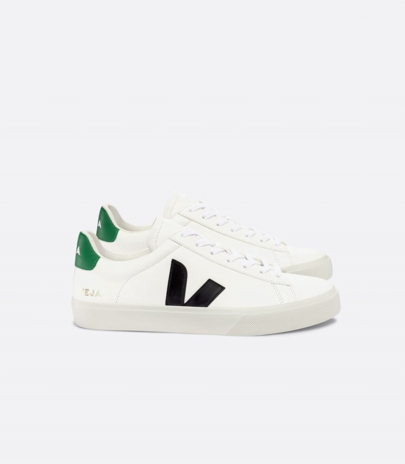 Men\'s Veja Campo Chromefree Leather Low-Top Sneakers White Black Green | KDV851NL