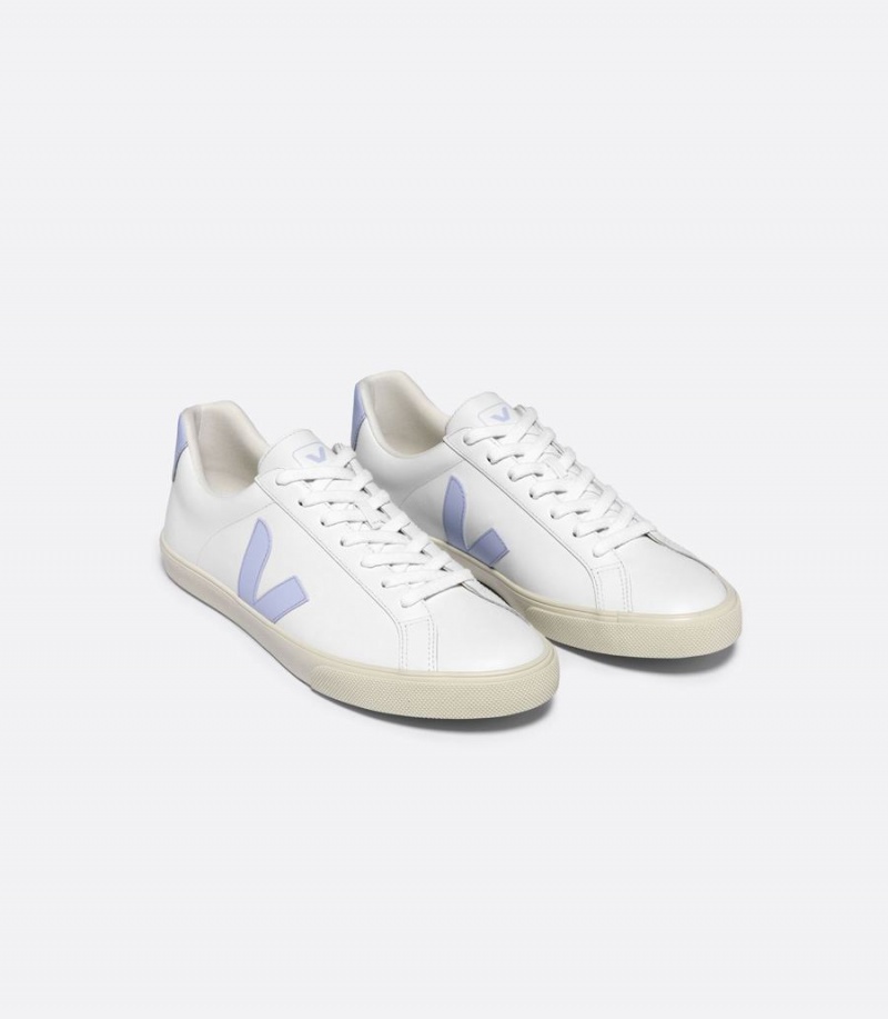 Men's Veja Esplar Leather Swan Low-Top Sneakers White Blue | BRE4649NA