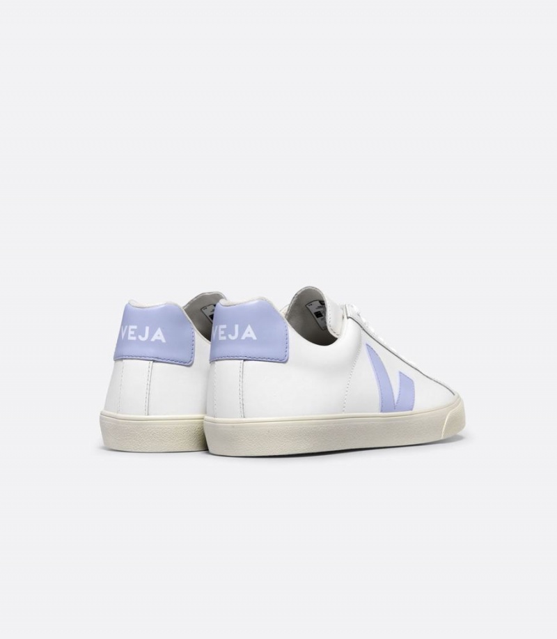 Men's Veja Esplar Leather Swan Low-Top Sneakers White Blue | BRE4649NA