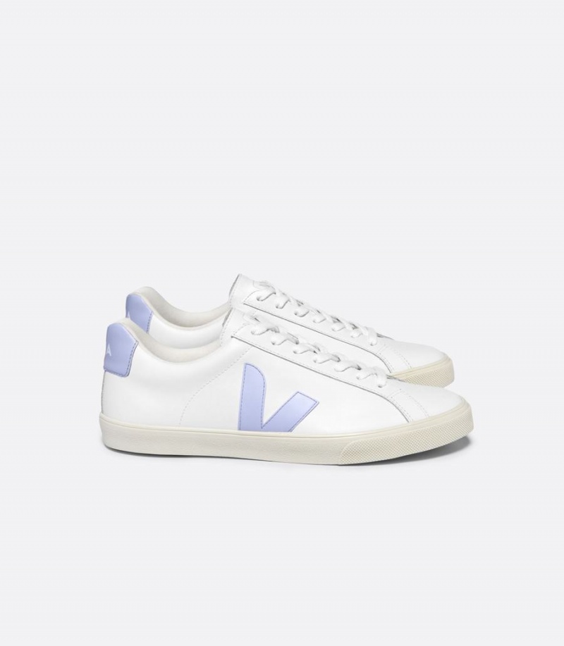 Men\'s Veja Esplar Leather Swan Low-Top Sneakers White Blue | BRE4649NA