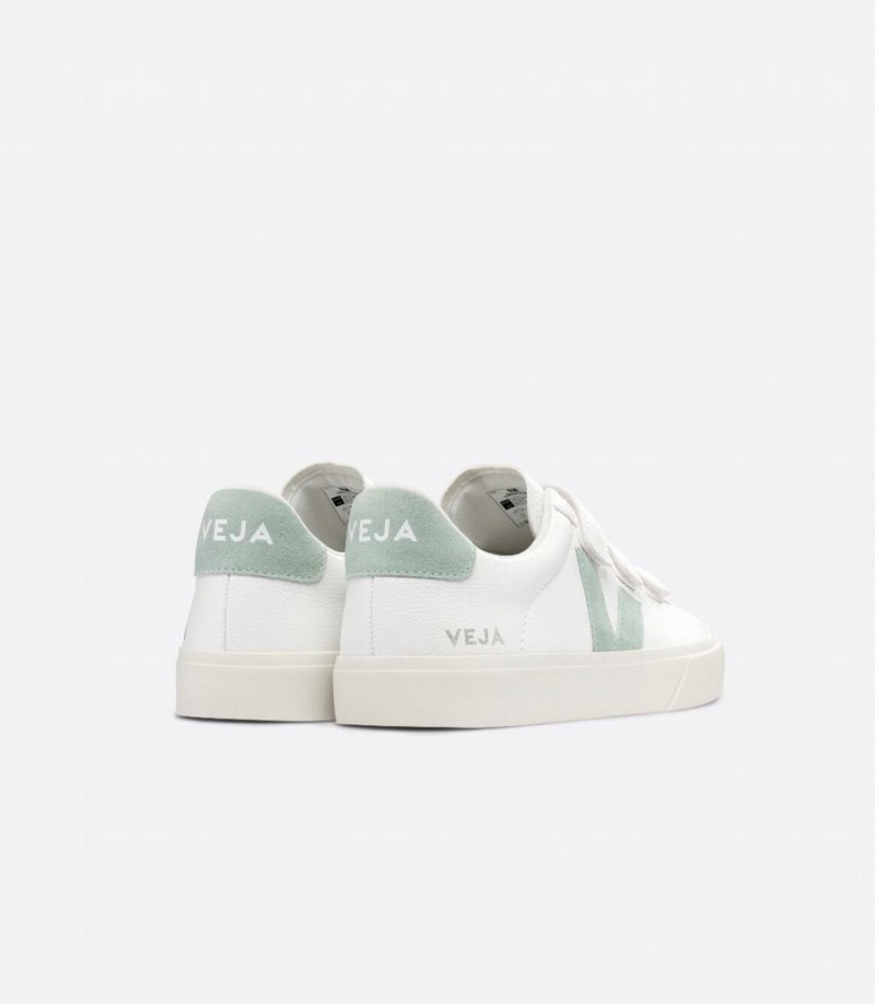 Men's Veja Recife Chromefree Leather Low-Top Sneakers White Green | MRV164RY