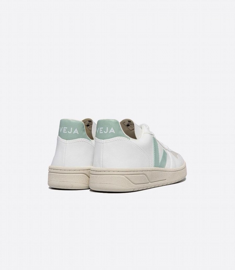 Women's Veja V-10 Cwl Low-Top Sneakers White Green | ANU3046DC